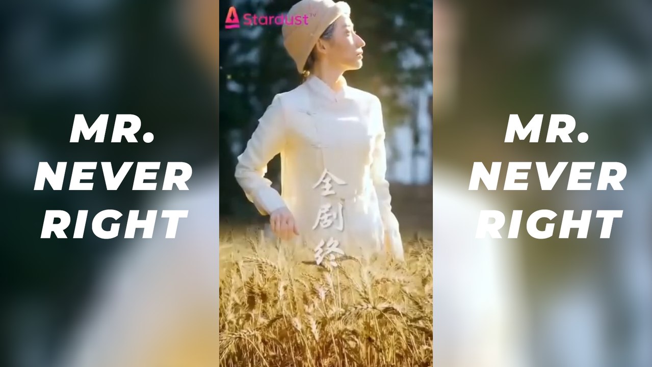 Mr. Never Right - Sweet Romance & Comedy Mega