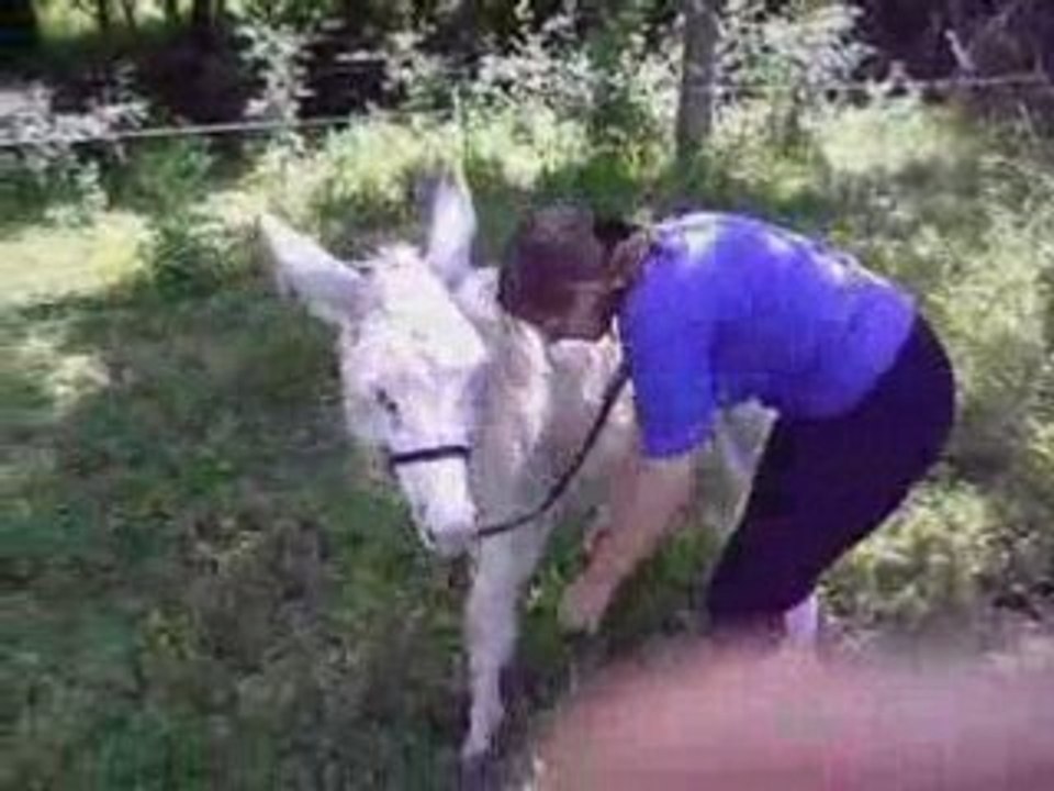 Apprentissage de la révérance avec pitit Filou