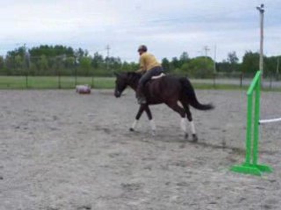 1er Juillet 2008 : Guy et Vincent