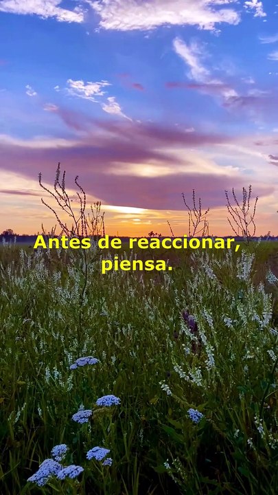 Recuerda que
