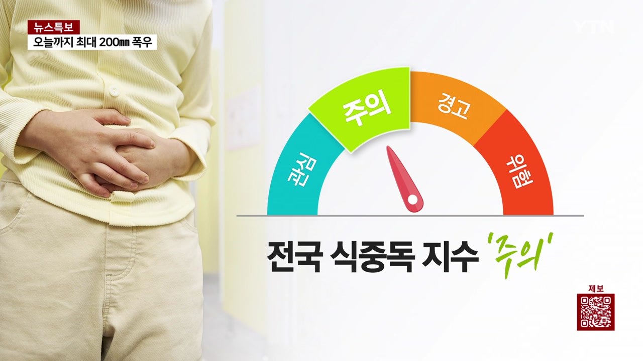 장맛비와 폭염, 동시에 덮친 한반도...온열 질환·식중도 위험 ↑ [앵커리포트] / YTN