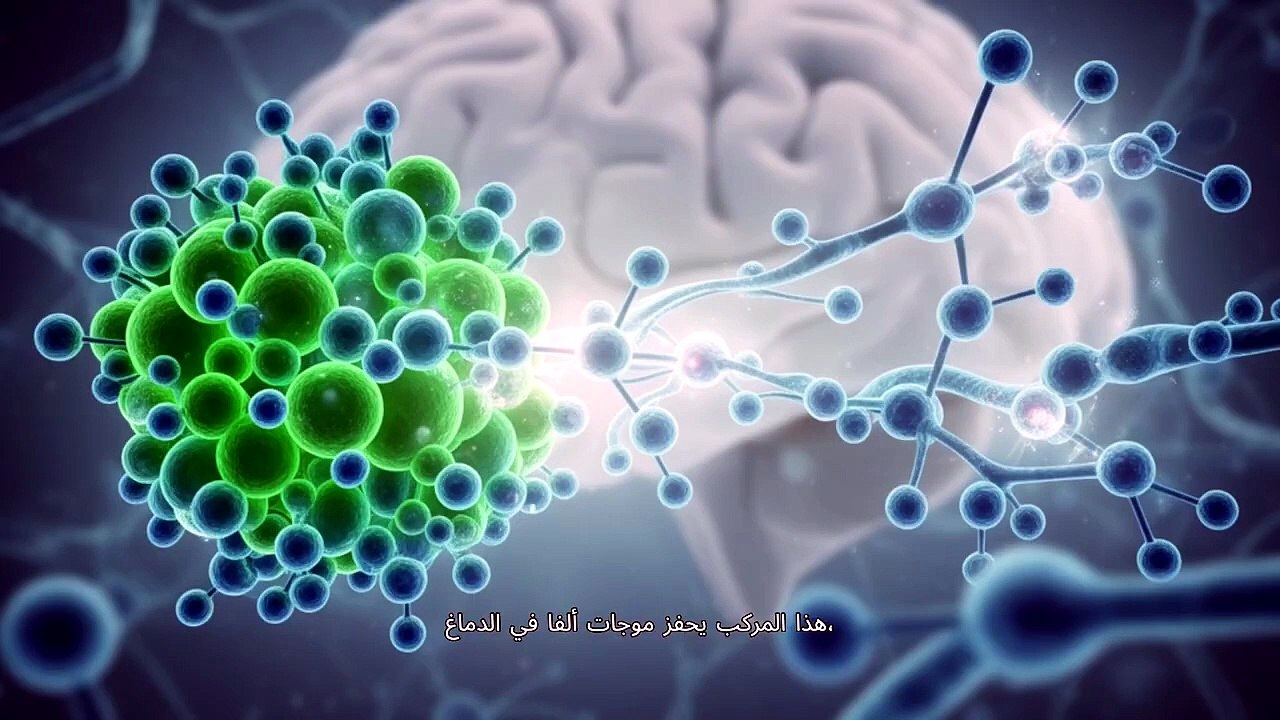الشاي  كيمياء التركيز والسعادة نسخة الـ 3 دقائق