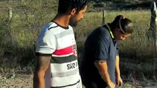 Tampa o tatu