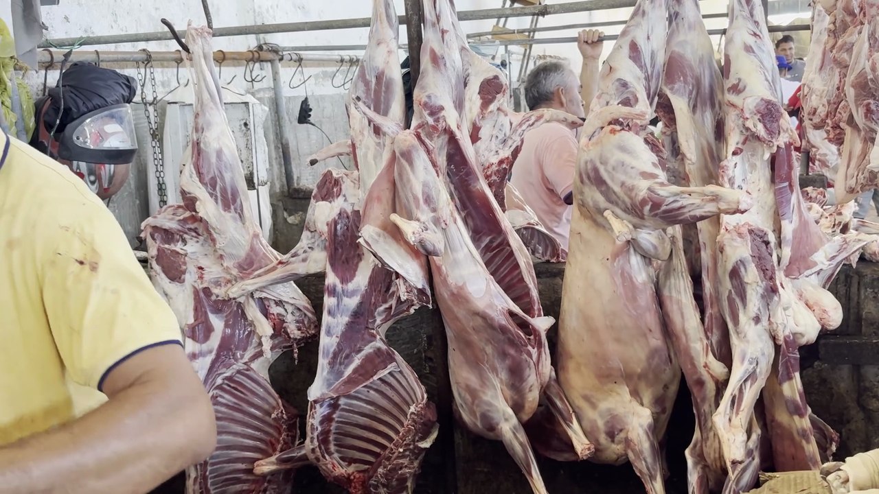 🛒 FEIRA DE SANTO ESTÊVÃO, BAHIA: TEM DE TUDO!