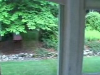 Amherst, New Hampshire (NH) real estate