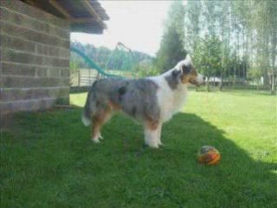 Mon 1er montage photos... (UGO)