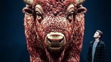 Bison