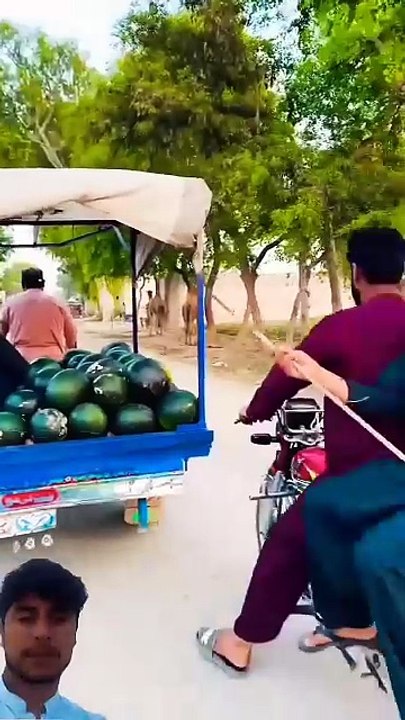 Funny video