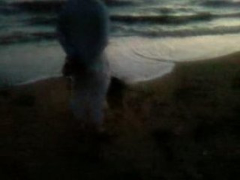 Mer