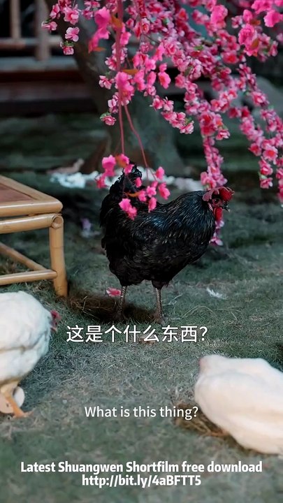 My Daughter’s Word Is Law 闺女言出法随 09
