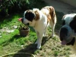 Petit jeu entre amis