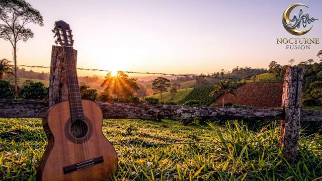 Sertanejo Universitário 2026 🤠 Novas Músicas Românticas Playlist Exclusiva Nocturne Fusion