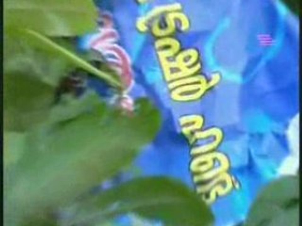 Malayalam TV Serial Kuttichatthen -- 2008-06-24 Part01.mp4