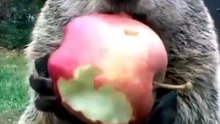 Animalitos que te encantarán 😊😊😊