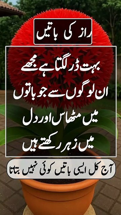 How to get Islamic question and Hindi sawalon