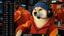 dogcaster