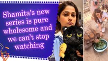 Shamita Shetty shares heartwarming photo series with turtle and cat toy