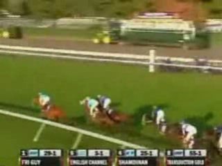 Breeders-cup-turf-2007