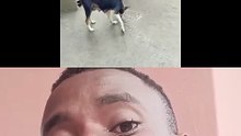 🤣 he thought another dog 🐶 is at his back 🤣🤣