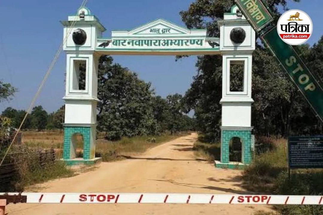 बारनवापारा अभयारण्य 31 अक्टूबर तक बंद