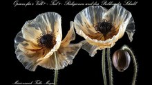 Opium für`s Volk? - Teil 9 - Religionen und das Problem der Schuld