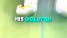 This Fish SAVED Her Babies 🐟❤️🥹