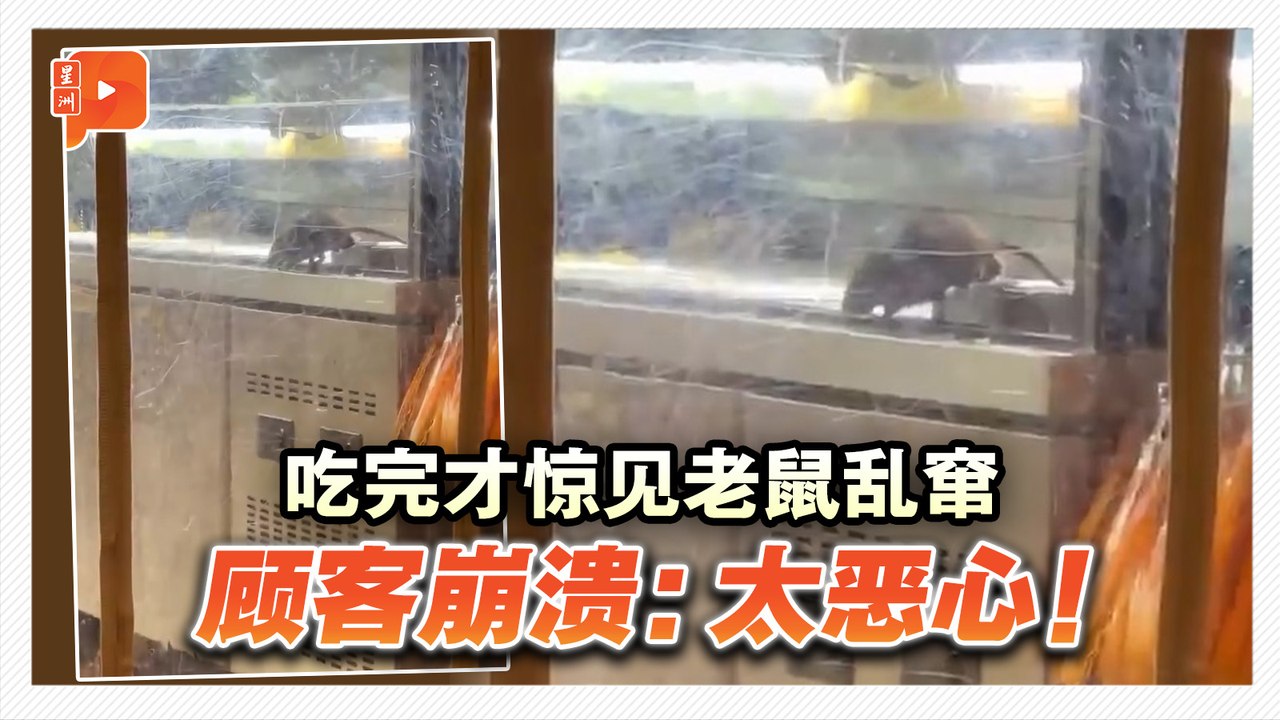 用餐后惊见老鼠乱窜 顾客向卫生部投报