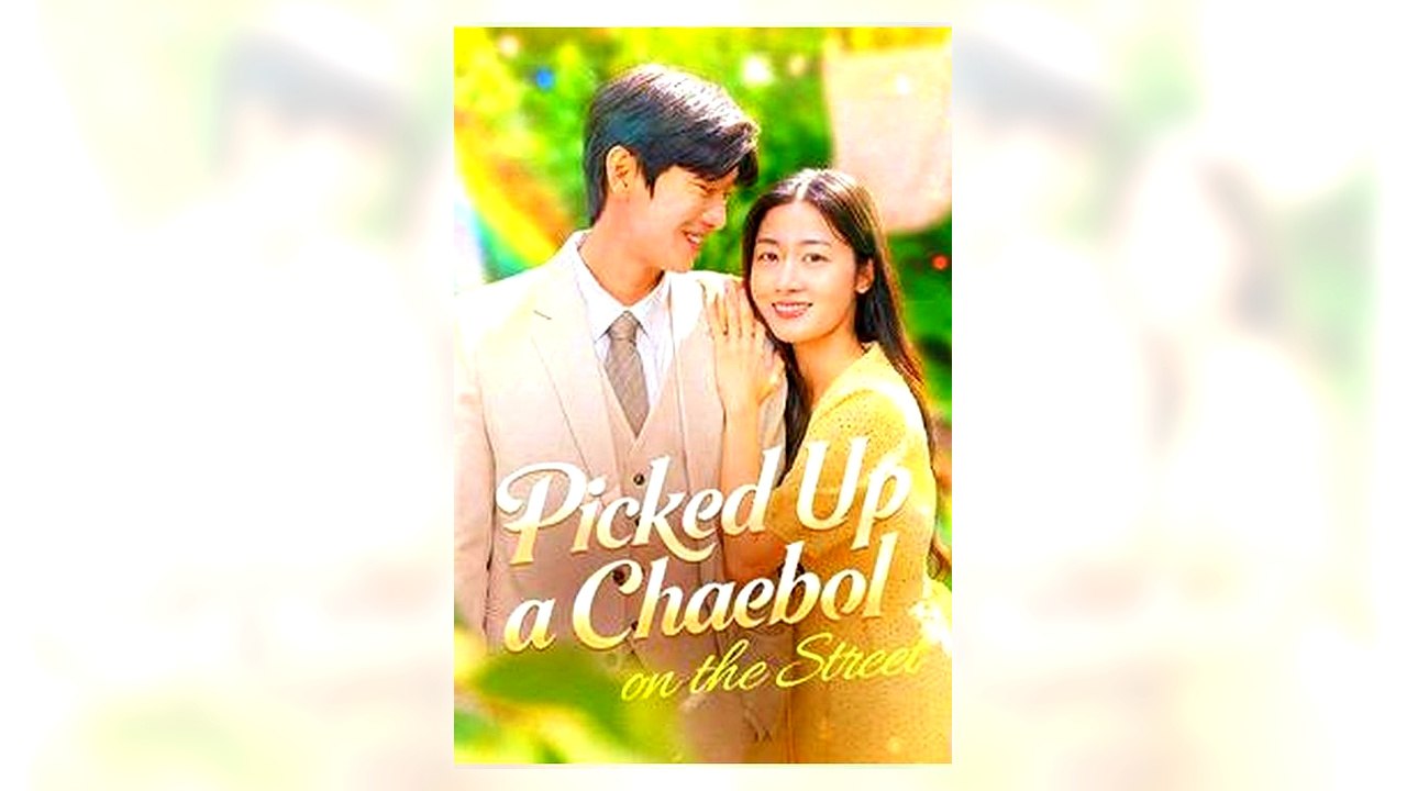 Picked Up a Chaebol on the Street full movie