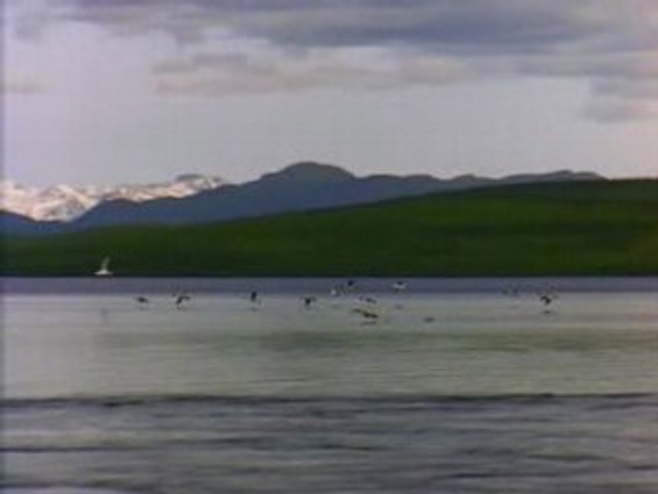 Lake