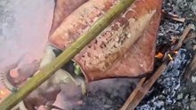 Roasted Giant Squid! 🦑🔥 #Roasted #GiantSquid