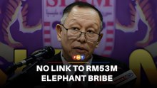 Nothing linking Nik Nazmi to alleged bribe in elephants’ transfer, says MACC