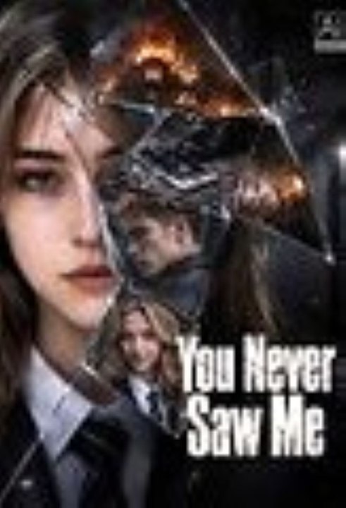 You Never Saw Me