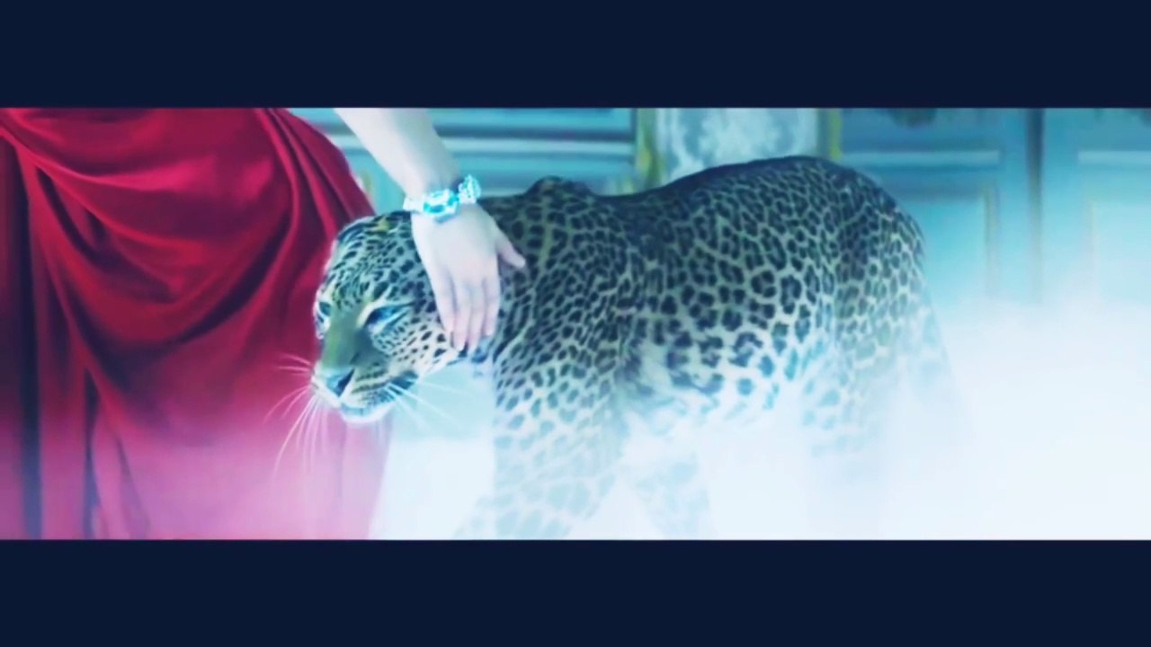 💍🐆...