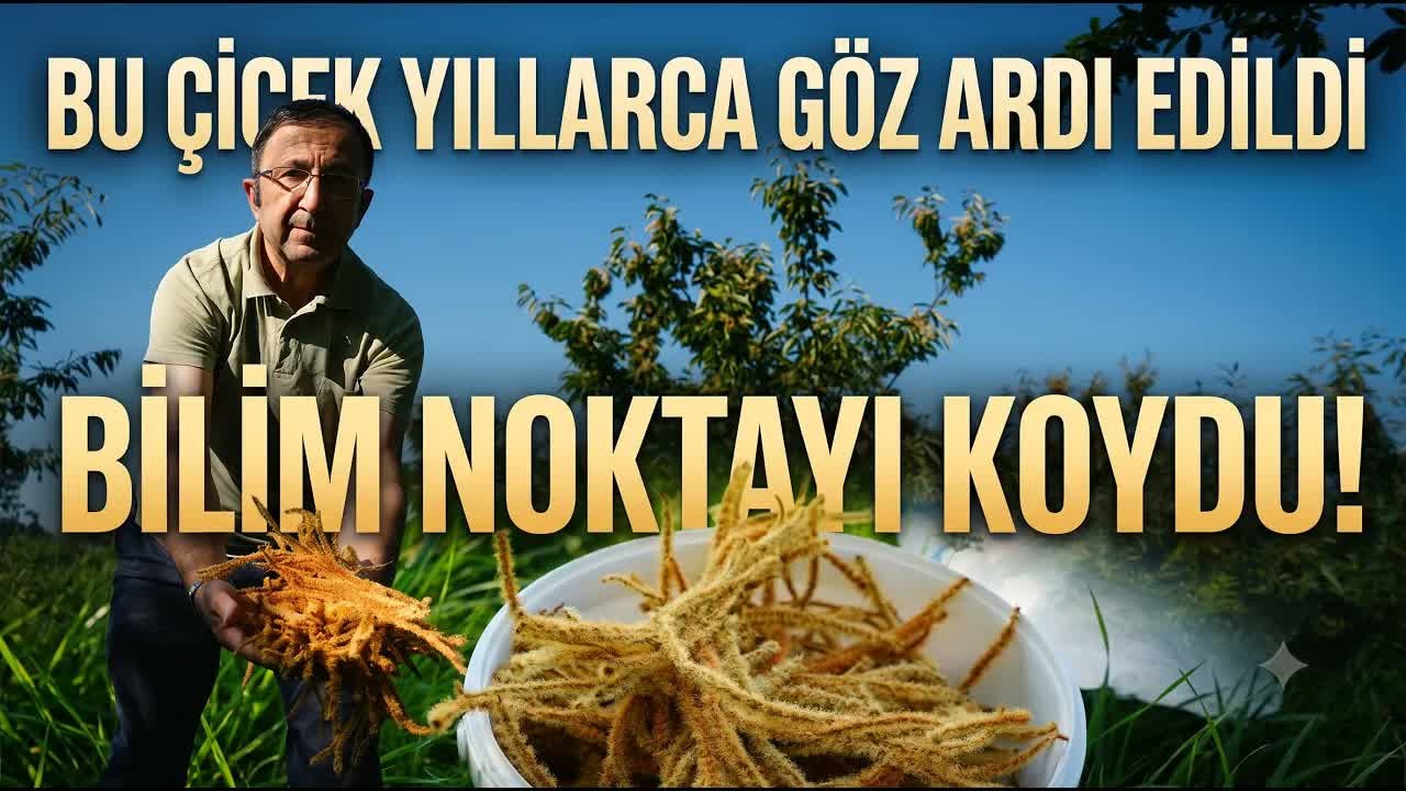 Kestane balının tahtını çiçeği salladı: Meğer ne kadar sağlıklıymış!