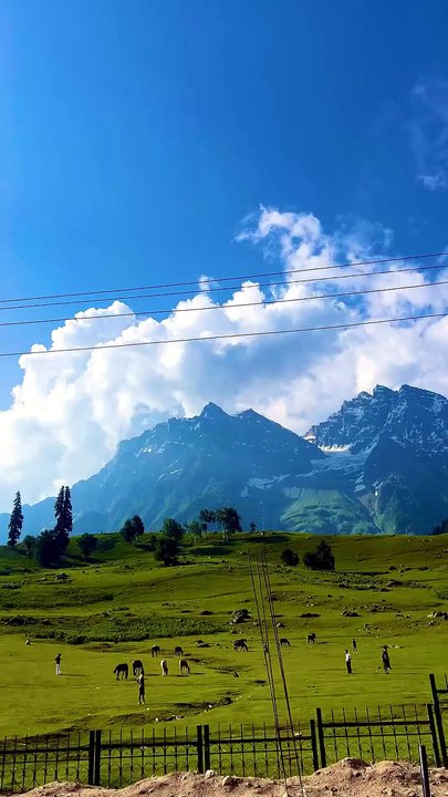 कश्मीर से लद्दाख का खूबसूरत सफर 🛣️ | Sonamarg, Kargil, Leh Vlog