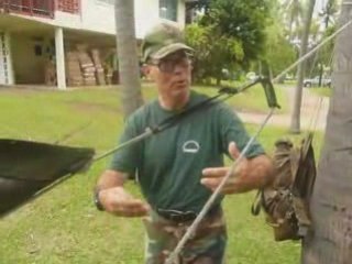 Todo lo necesario para sobrevivir en la selva. Survive (2)