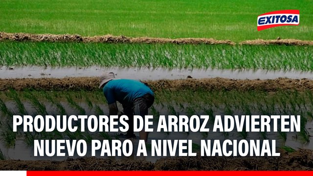 Productores de arroz advierten nuevo paro a nivel nacional si ejecutivo no atiende demandas