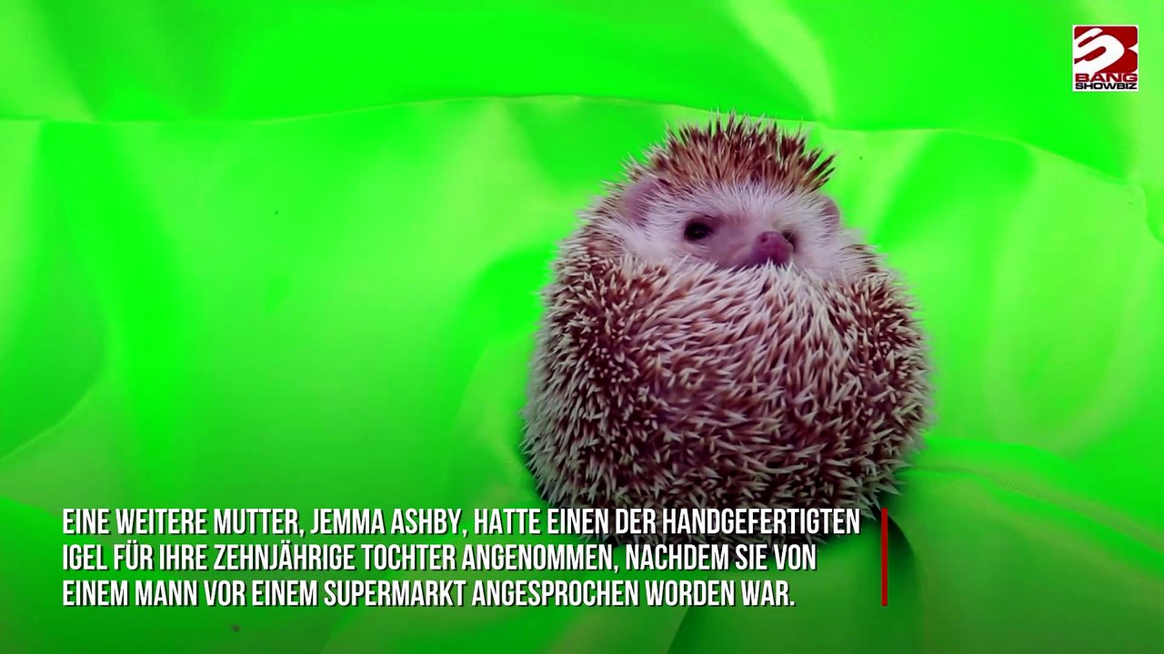 Polizei ermittelt: Papier-Igeln aus Erotikroman-Seiten landen in Kinderzimmern
