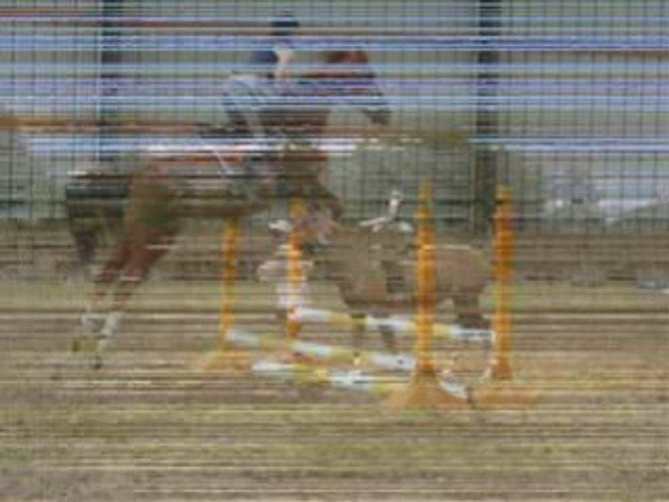 Noisette du paradis Tu sera tOujOur dans nOtre cOeur