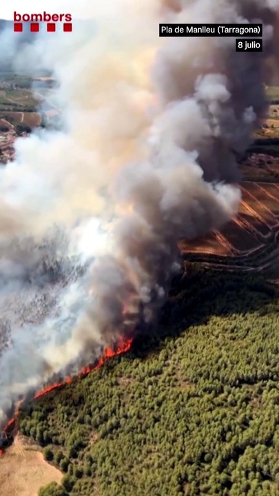 Los bomberos combaten los focos secundarios del incendio de Aiguaviva