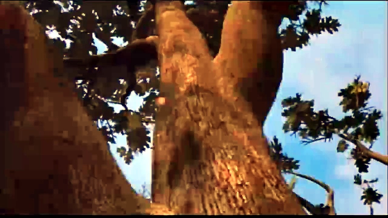 Opening to Flubber 1998 DVD