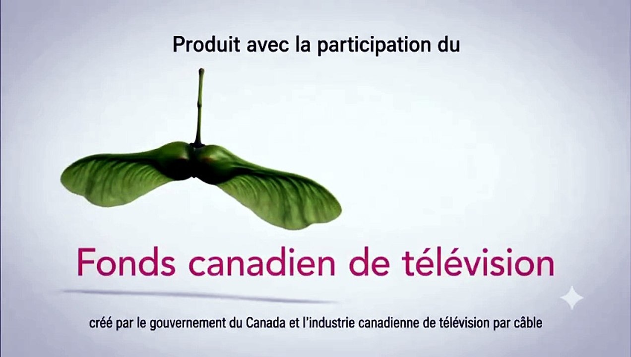 Les jingles du Fonds canadien de télévision, l'émission de Gumball, (année 2010)