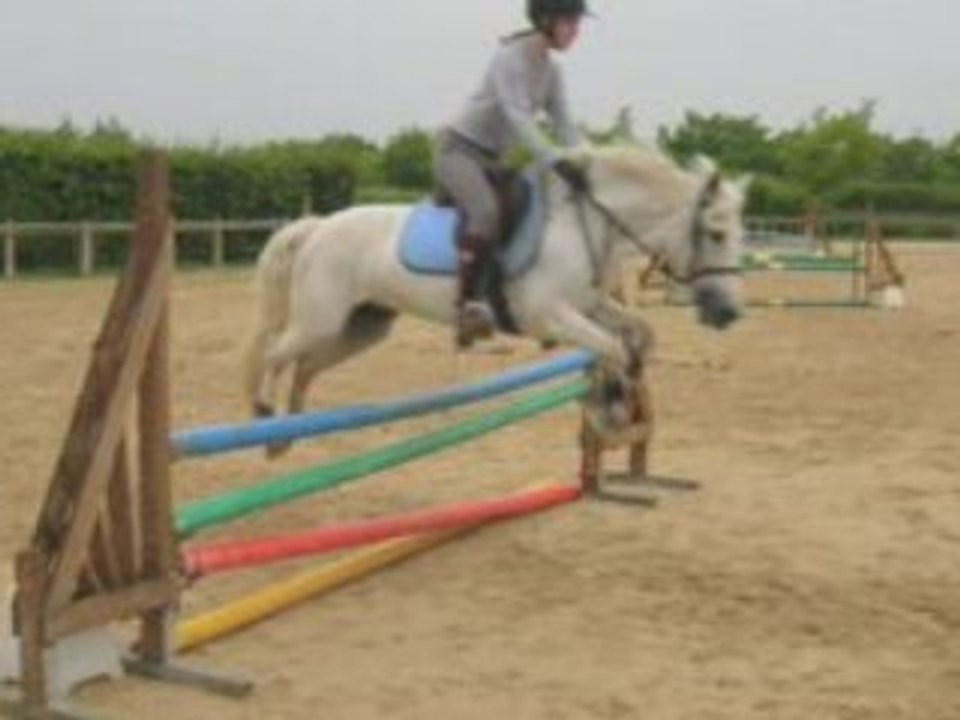 Poneys cartoucherie