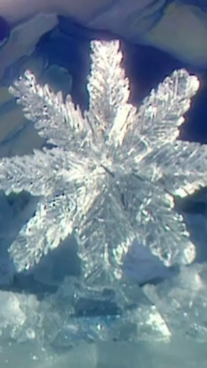 Carving an Ice Sculpture with Martha Stewart