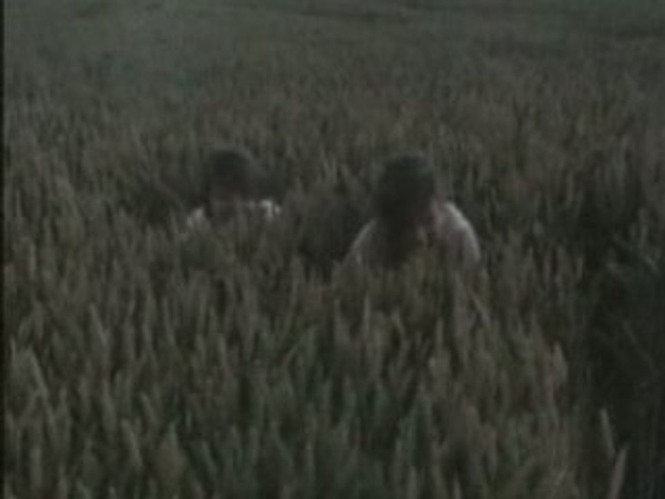 SDV_0065