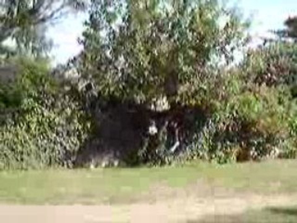 exploit