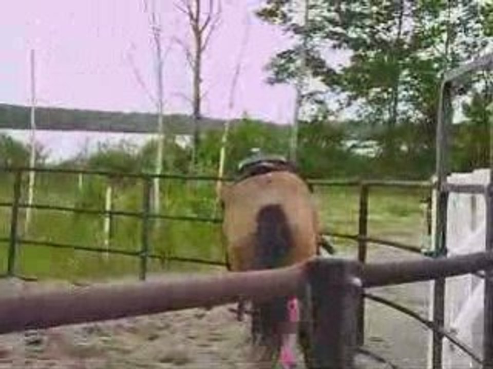 sidjy en séance de longe