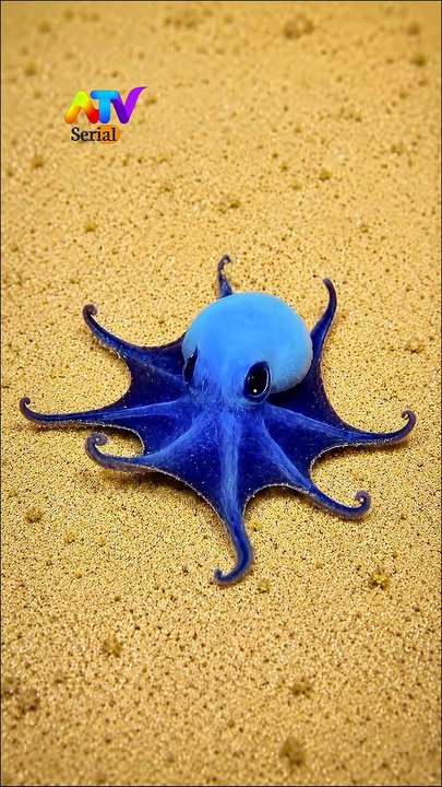 Amazing Sea Life Moments You Need to See 🐡 #sealife