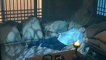 Betrayed by Blood I Rise in Glory - FULL MOVIES ENGLISH SUB