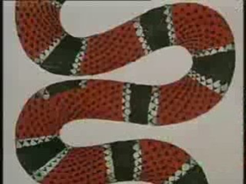 Jan Svankmajer, courts métrages volume 1